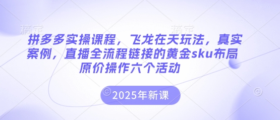 拼多多实操课程，飞龙在天玩法，真实案例，直播全流程链接的黄金sku布局原价操作六个活动-翻身站
