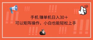 手机赚单机日入30＋，可以矩阵操作，小白也能轻松上手-翻身站