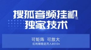【搜狐音频挂G】独家技术,可矩阵可放大,红利期稳定月入8k【揭秘】-翻身站