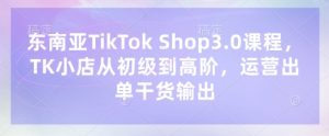 东南亚TikTok Shop3.0课程，TK小店​从初级到高阶，运营出单干货输出-翻身站