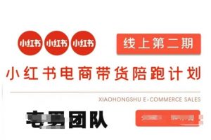 小红书电商带货课2期，月利润20个的小红书电商的有货源，无货源，虚拟产品，付费投流等整套玩法-翻身站