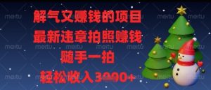 解气又挣钱的项目，最新违章拍照挣钱，随手一拍，轻松收入多张【揭秘】-翻身站
