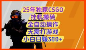 25年独家CSGO挂G搬砖，全自动操作，无需打游戏，小白日入3张+【揭秘】-翻身站