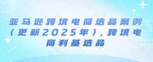 亚马逊跨境电商选品案例(更新2025年4月)，跨境电商利基选品-翻身站