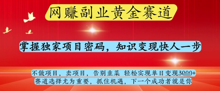 网创副业黄全赛道，掌握独家项目密码，知识变现快人一步，告别韭菜轻松实现单日变现1k+【揭秘】-翻身站