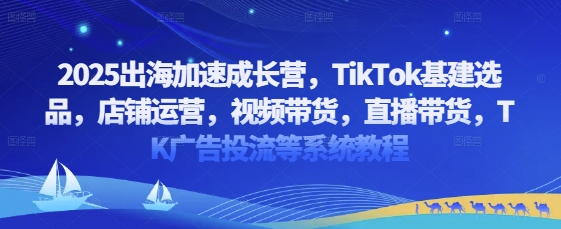 2025出海加速成长营，TikTok基建选品，店铺运营，视频带货，直播带货，TK广告投流等系统教程-翻身站