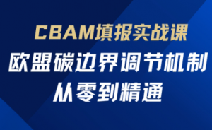 欧盟CBAM填报实战从零到精通-翻身站