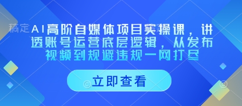 AI高阶自媒体项目实操课，讲透账号运营底层逻辑，从发布视频到规避违规一网打尽-翻身站