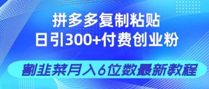 拼多多复制粘贴日引300+付费创业粉，割韭菜月入6位数最新教程！-翻身站