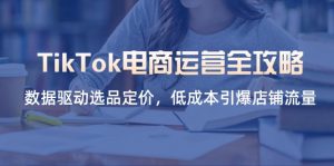 TikTok电商运营全攻略，数据驱动选品定价，低成本引爆店铺流量-翻身站