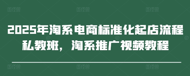 2025年淘系电商标准化起店流程私教班，淘系推广视频教程-翻身站