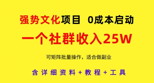 强势文化项目，一个社群收入25个W，0成本启动，可矩阵批量操作，原创详细实操教程-翻身站