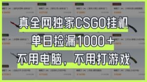 真全网独家CSGO挂G，单日捡漏1k+【揭秘】-翻身站