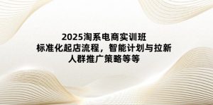 2025淘系电商实训班：标准化起店流程，智能计划与拉新，人群推广策略等等-翻身站