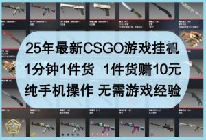 25年最新CSGO游戏挂G，1分钟1件货，1件货挣10元，纯手机操作，无需游戏经验【揭秘】-翻身站