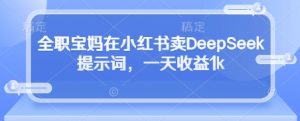 全职宝妈在小红书卖DeepSeek提示词,一天收益1k-翻身站