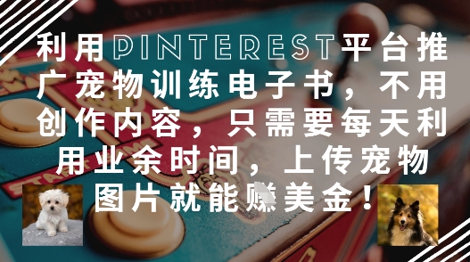 利用Pinterest平台推广宠物训练电子书，不用创作内容，只需要每天利用业余时间，上传宠物图片就能挣美金!-翻身站