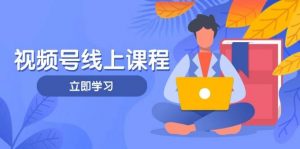 视频号实战课程，轻IP打造与运营技巧，掌握核心方法与策略-翻身站