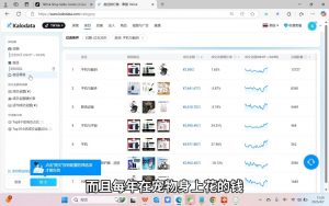 阿涛·2025TikTok电商运营-翻身站