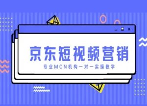 京东短视频营销项目，专业MCN机构一对一实操教学-翻身站