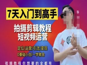7天入门到高手，短视频剪辑运营高手课，定位 运营 引|流 变现，0基础小白一学就会-翻身站