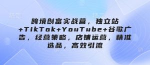 跨境创富实战营，独立站+TikTok+YouTube+谷歌广告，经营策略，店铺运营，精准选品，高效引流-翻身站