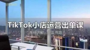 TikTok小店运营出单课，从开店选品、运营出单、发货回款，进行全流程讲解-翻身站