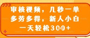 视频审核员，几秒一单，不限时间，不限地点，多做多得，新人小白一天轻松几张+【揭秘】-翻身站