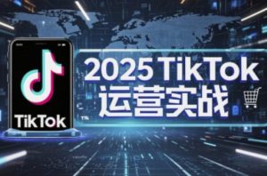 2025TikTok电商运营，掌握TikTok店铺运营核心技巧，实现低成本高转化-翻身站