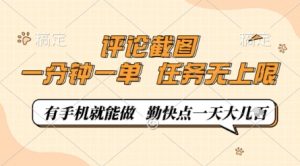 评论截图，0.5元一单，一分钟一单，有手机就能做，任务无上限，勤快点一天几张【揭秘】-翻身站