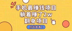 暴利项目，手机一键代发视频被动收入1000+，零成本做老板长期管道收益！-翻身站