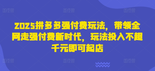 2025拼多多强付费玩法，带领全网走强付费新时代，玩法投入不超千元即可起店-翻身站