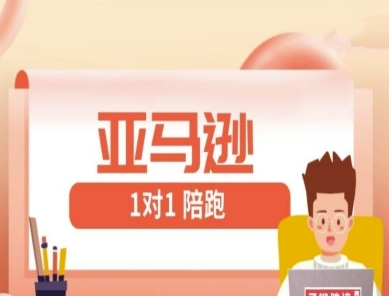 亚马逊1对1陪跑课(FBA/FBM精铺)跨境亚马逊教程-翻身站