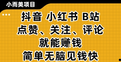 小而美的项目，抖音小红书B站视频点赞、关注、评论就能挣钱，简单无脑立见收益，妥妥的零撸项目【揭秘】-翻身站