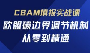 CBAM填报实战课，欧盟碳边界调节机制，从零到精通-翻身站