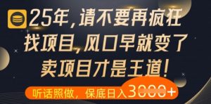 什么？25年你还在疯狂找项目做，醒醒吧，看完这些你全都懂了【揭秘】-翻身站