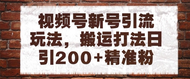 视频号新号引流玩法，搬运打法日引200+精准粉，可矩阵放大【揭秘】-翻身站