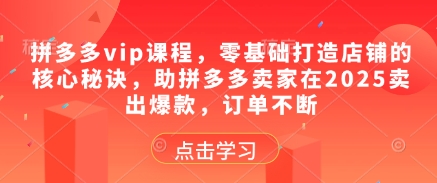 拼多多vip课程，零基础打造店铺的核心秘诀，助拼多多卖家在2025卖出爆款，订单不断-翻身站