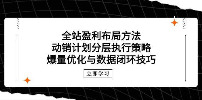 全站盈利布局方法：动销计划分层执行策略，爆量优化与数据闭环技巧-翻身站