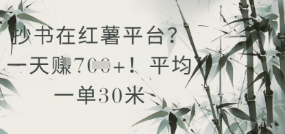 抄书在小红薯平台？平均一单30米，一天收益几张！-翻身站