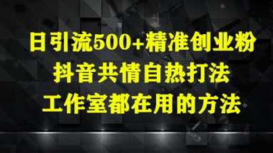 日引流500+精准创业粉，抖音共情自热打法，工作室都在用的方法-翻身站