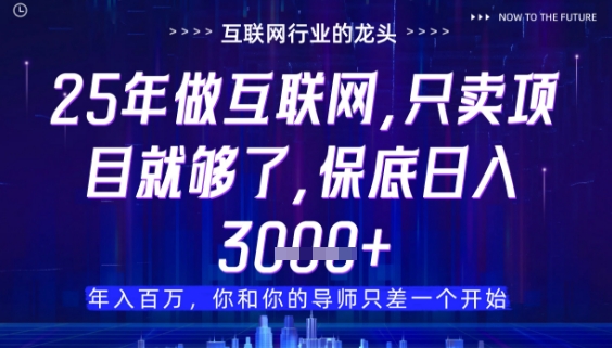 什么！25年你还在找项目做？风口早就变了，卖项目才是稳挣不赔【揭秘】-翻身站
