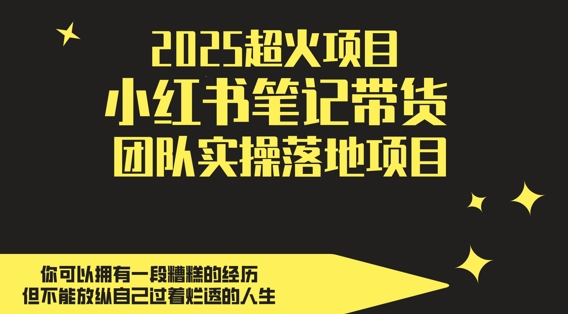 2025超火项目，副业最佳选择，小红书笔记带货团队实操落地项目，，轻松日入5张-翻身站