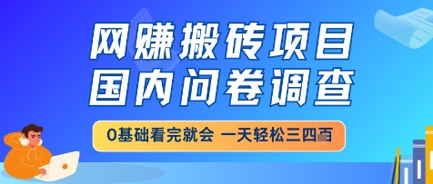 网创搬砖项目，国内问卷调查，小白轻松上手，一天三四张的也不难，干就完了【揭秘】-翻身站