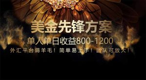 免费技术！小众赛道！一年布局抵三年努力，每日800+-翻身站