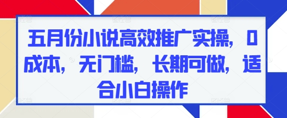 五月份小说高效推广实操，0成本，无门槛，长期可做，适合小白操作-翻身站