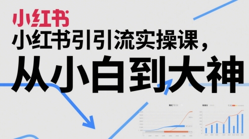 小红书引流实操课，从小白到大神-翻身站