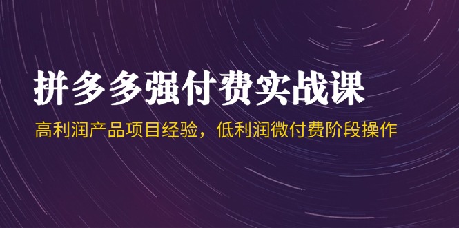 拼多多强付费实战课-44期，高利润产品项目经验，低利润微付费阶段操作-翻身站
