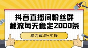 抖音直播间粉丝群暴力截流，一台电脑每天稳定2000条数据，暴力截流+实操 【揭秘】-翻身站