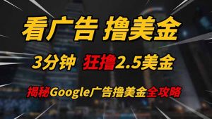 看广告，撸美金！！3分钟赚2.5美金！！日入200美金不是梦！揭秘Google...-翻身站